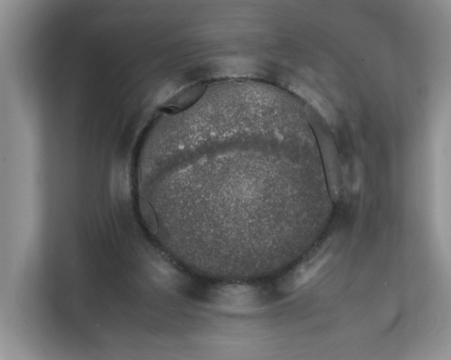 X0000112040203200908171518