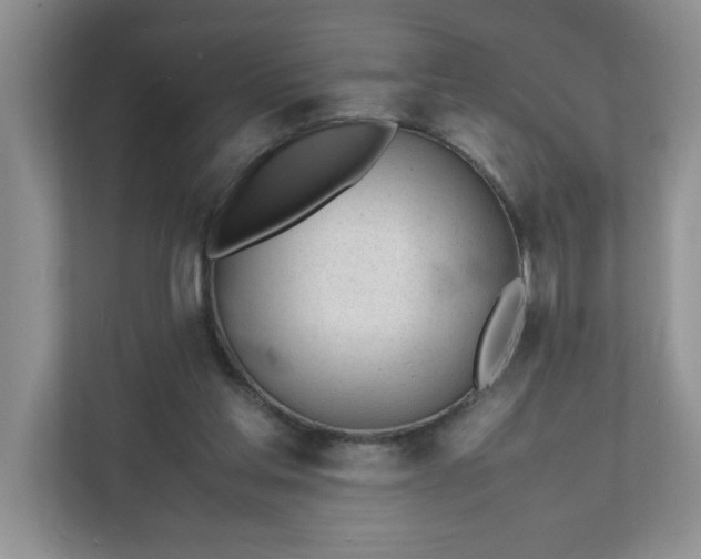 X0000112040205200908171518