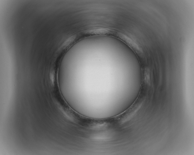 X0000112040206200908171518