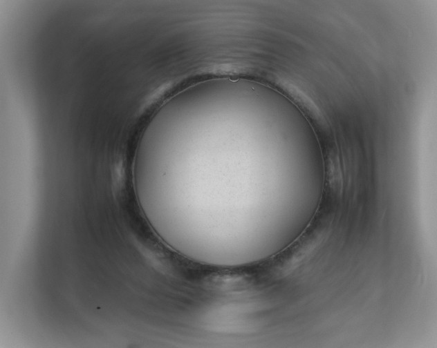 X0000112040208200908171518