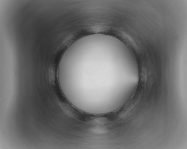 X0000112040210200908171518