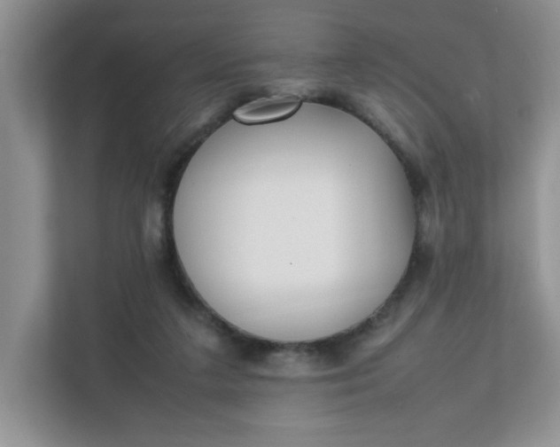 X0000112040211200908171518