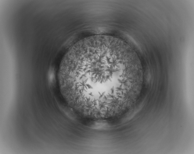 X0000112040214200908171518