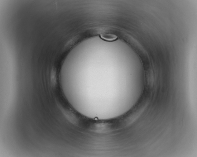 X0000112040216200908171517
