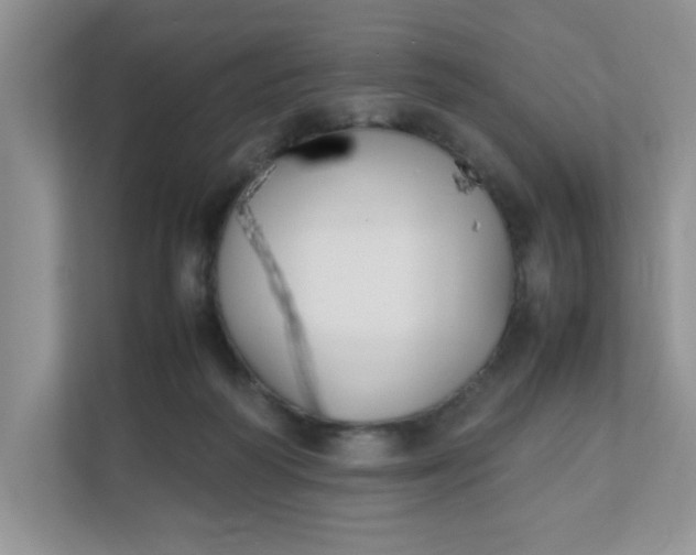 X0000112040218200908171517