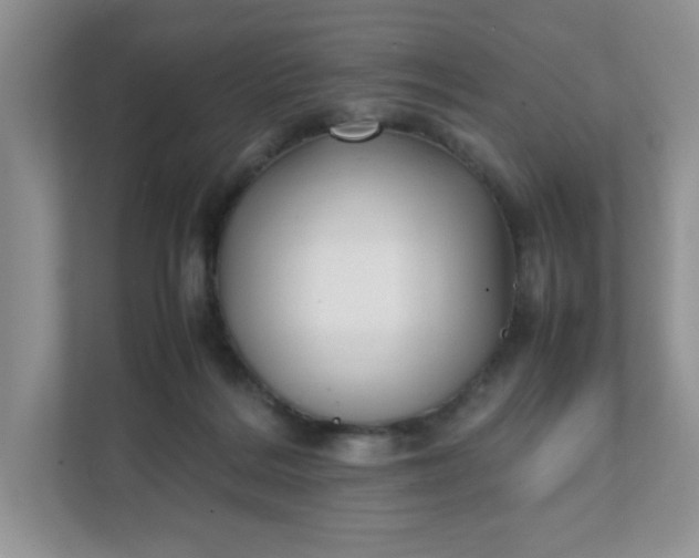 X0000112040220200908171517