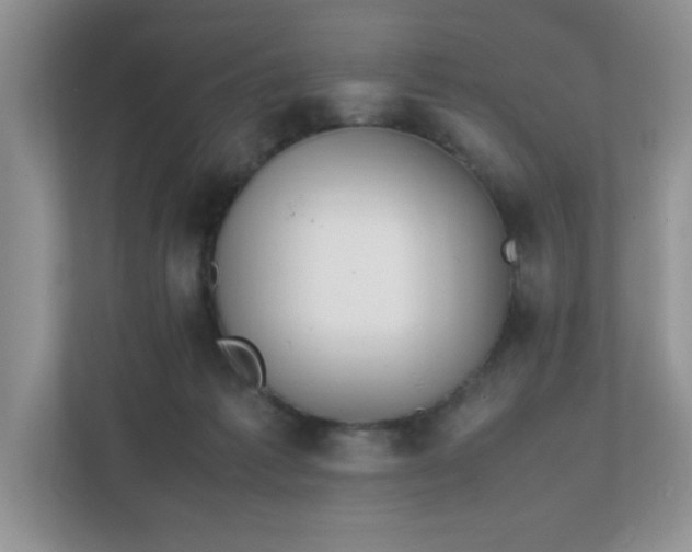 X0000112040221200908171517