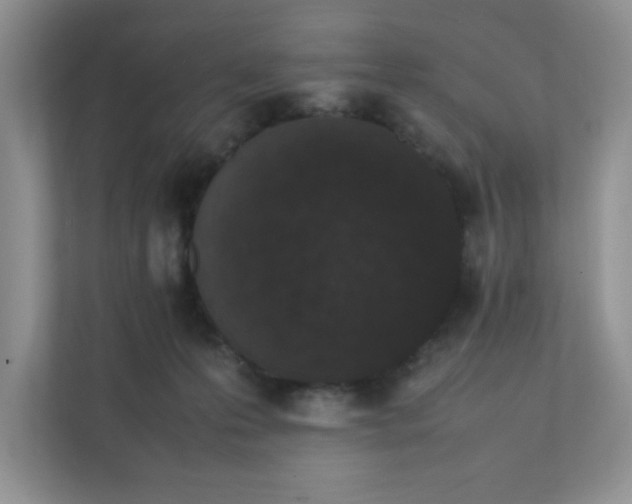 X0000112040223200908171517