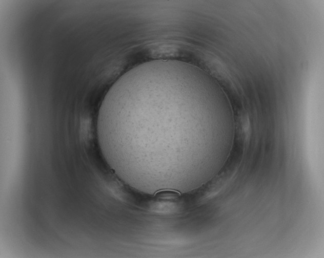 X0000112040224200908171517