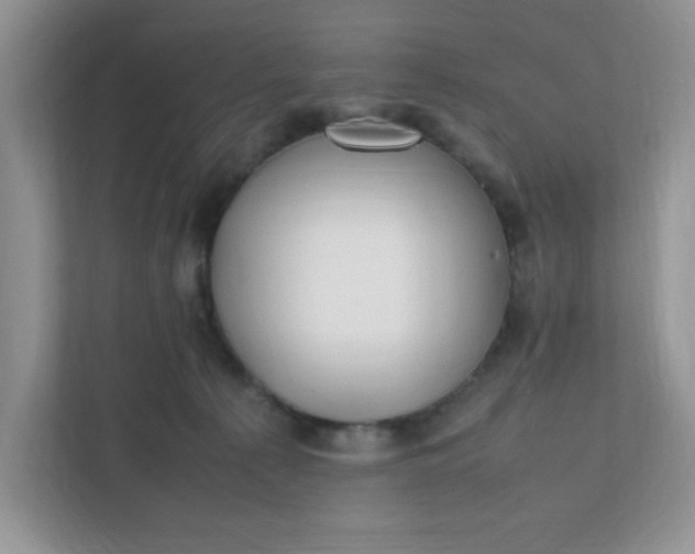 X0000112040225200908171517