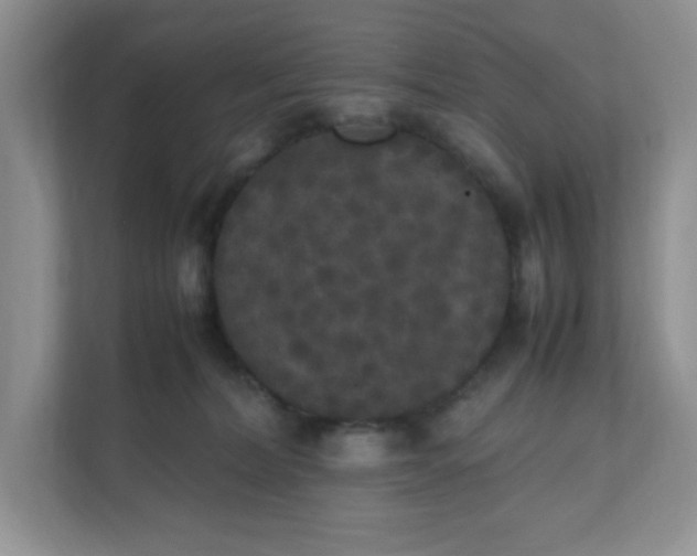 X0000112040228200908171517