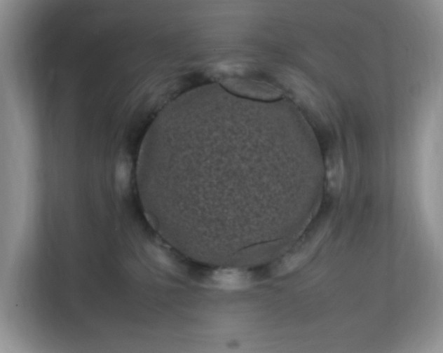 X0000112040231200908171517