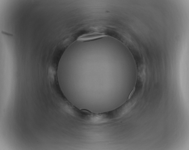 X0000112040235200908171517