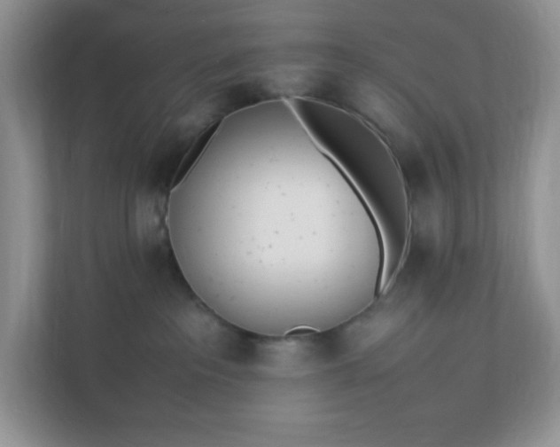 X0000112040237200908171517