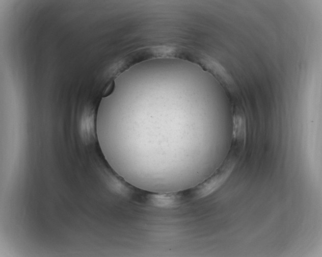 X0000112040238200908171517