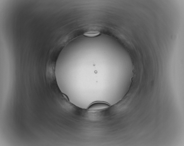 X0000112040240200908171517
