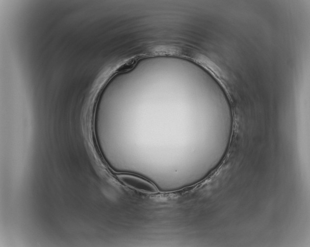 X0000112040241200908171517