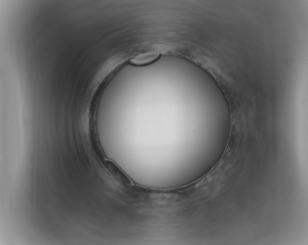 X0000112040242200908171517