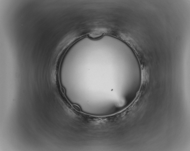 X0000112040243200908171517