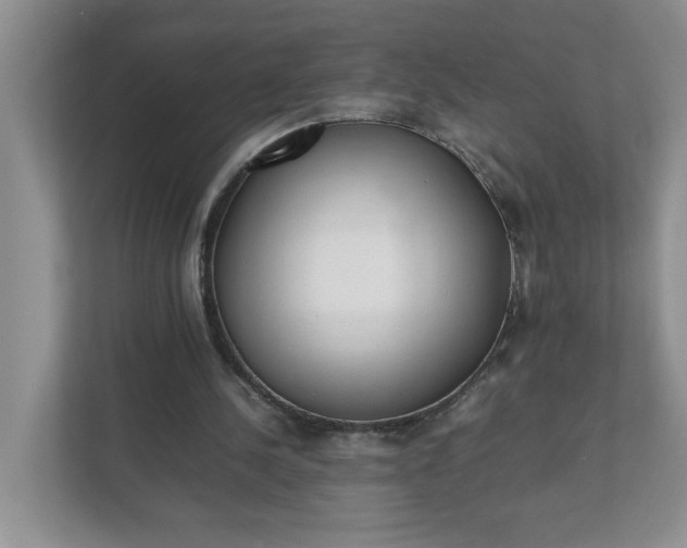X0000112040244200908171517