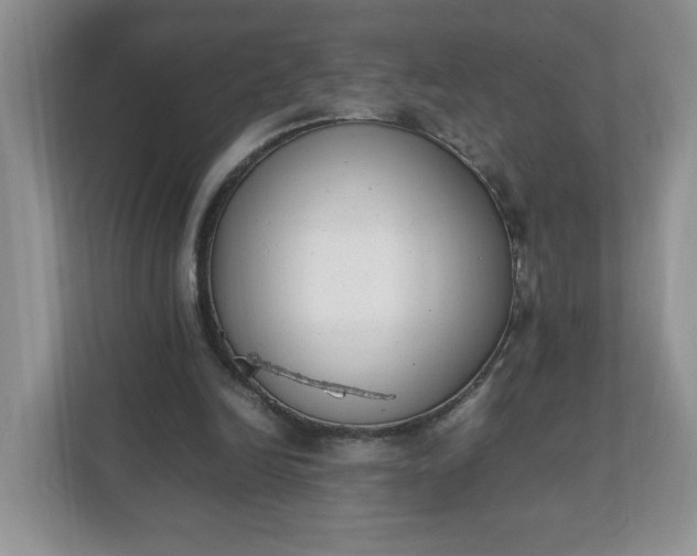X0000112040246200908171517