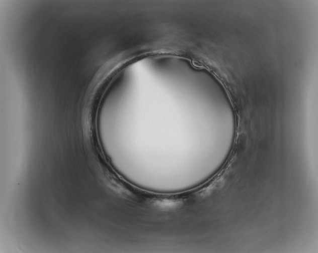 X0000112040247200908171517