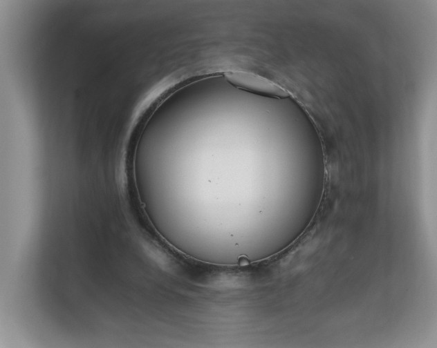 X0000112040248200908171517