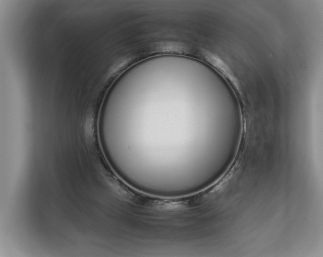 X0000112040249200908171517