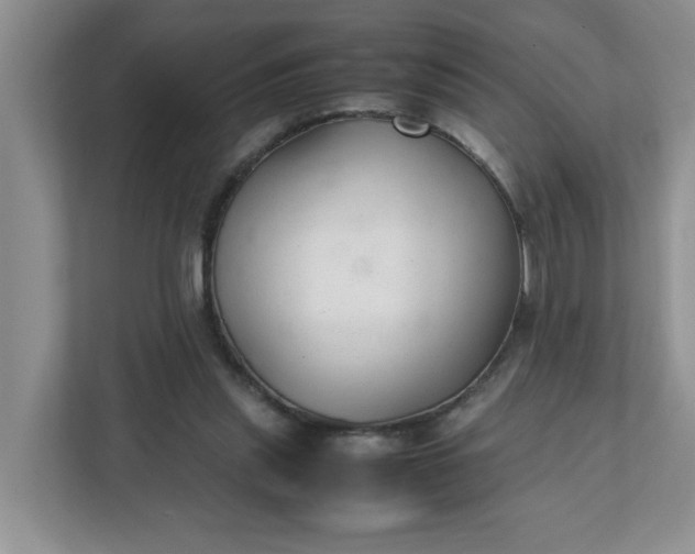 X0000112040253200908171517