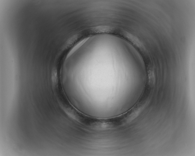 X0000112040254200908171517