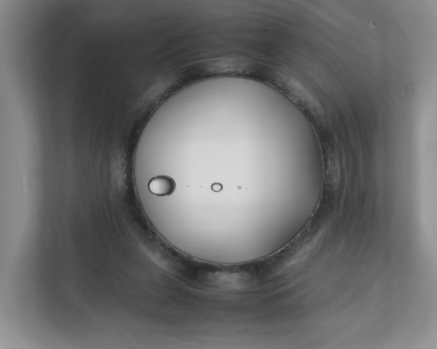 X0000112040255200908171517