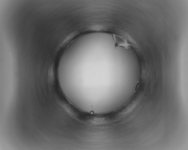 X0000112040256200908171517
