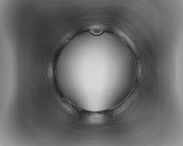 X0000112040257200908171517