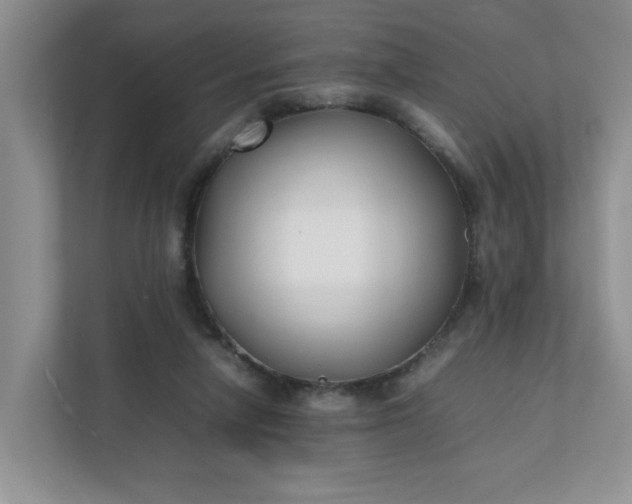 X0000112040258200908171517