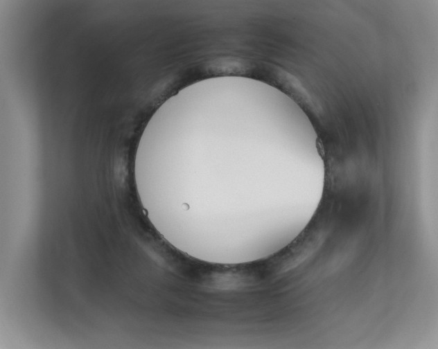 X0000112040259200908171517