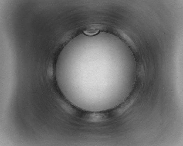 X0000112040261200908171517