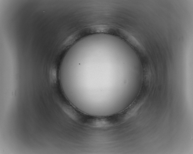 X0000112040262200908171517