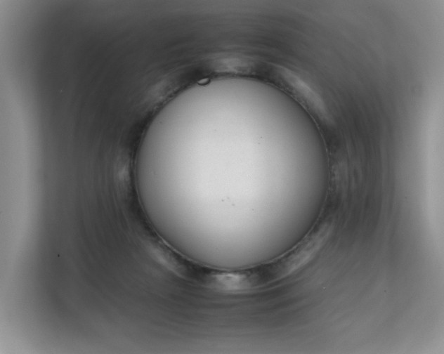 X0000112040265200908171517