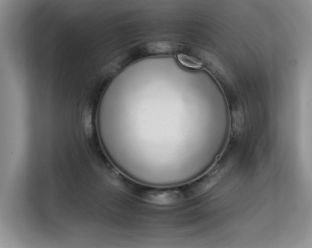 X0000112040267200908171517