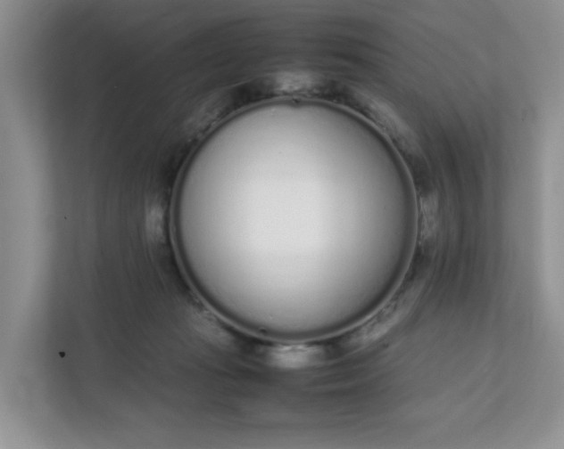 X0000112040269200908171517