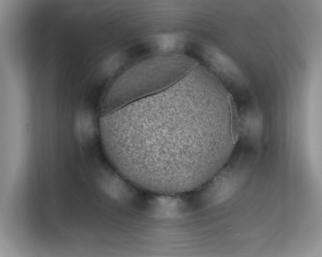 X0000112040272200908171517