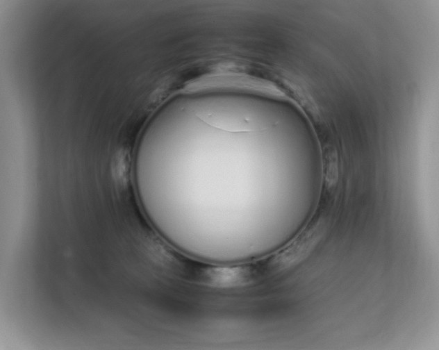 X0000112040273200908171517