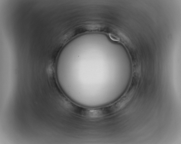 X0000112040277200908171517