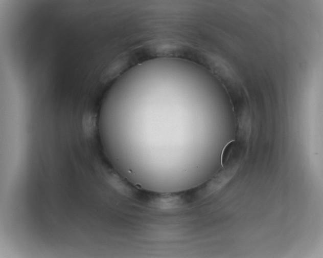 X0000112040278200908171517