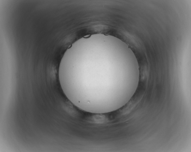 X0000112040279200908171517