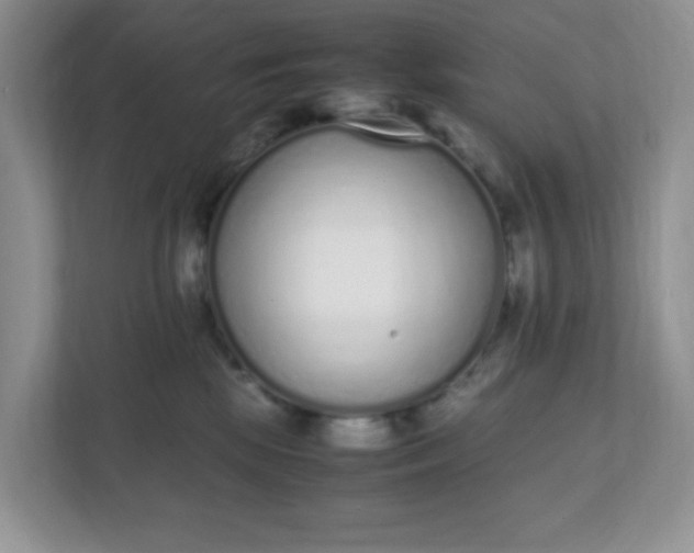 X0000112040281200908171517