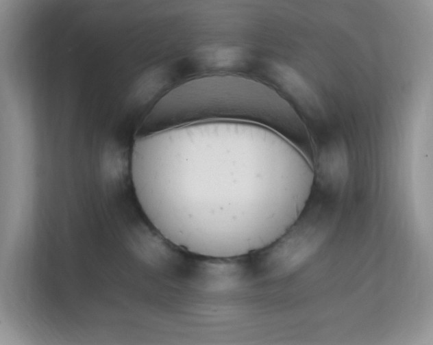 X0000112040284200908171517