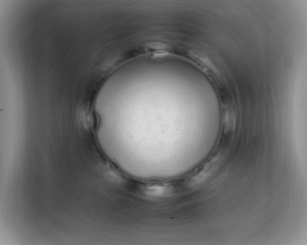 X0000112040285200908171517