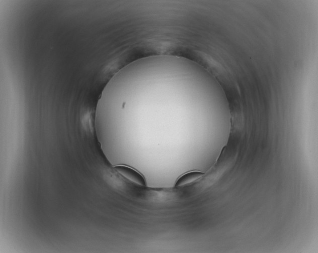 X0000112040286200908171517