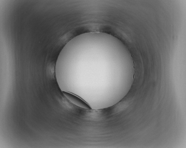 X0000112040288200908171517